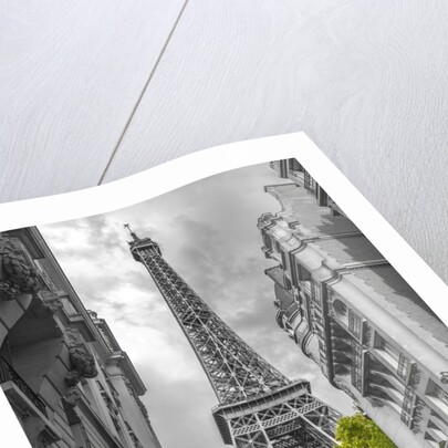 Eiffel Tower, Paris by Assaf Frank